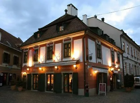 Hotel Senator Ház