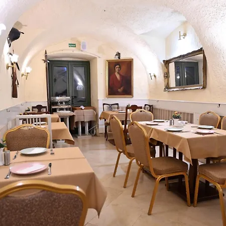 Hotel Senator Haz Erlau