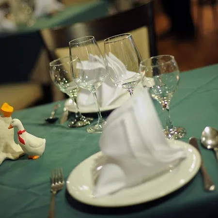 Otel Senator Haz Eğri