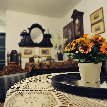 Otel Senator Haz Eğri