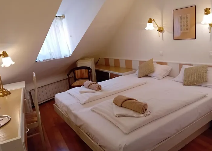 Senator Haz 호텔 3*