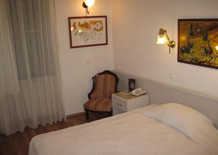 호텔 Senator Haz 에게르