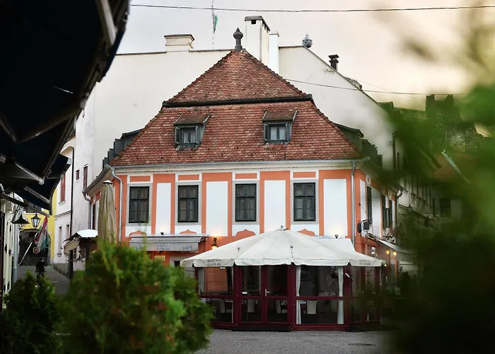 호텔 Senator Haz 에게르